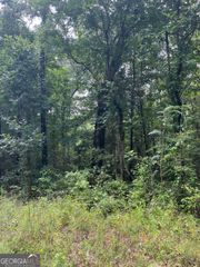 894 Forrester Cemetery Road, Covington, GA 30014