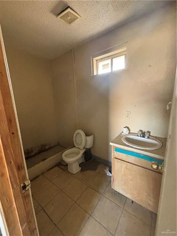 3117 S Spanish Palms Drive, Mercedes, TX 78570