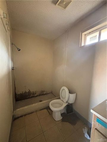 3117 S Spanish Palms Drive, Mercedes, TX 78570