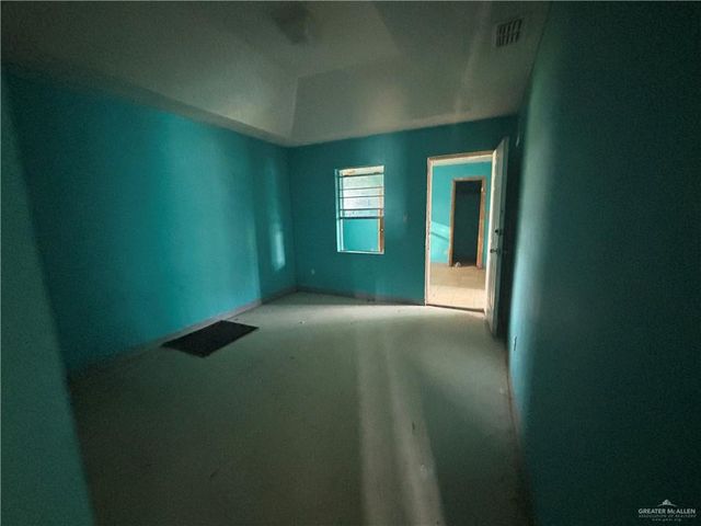 3117 S Spanish Palms Drive, Mercedes, TX 78570