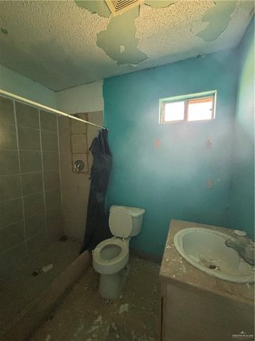 3117 S Spanish Palms Drive, Mercedes, TX 78570