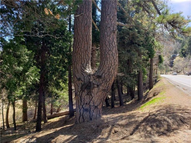 24155 San Moritz, Crestline, CA 92325