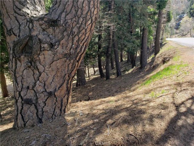 24155 San Moritz, Crestline, CA 92325