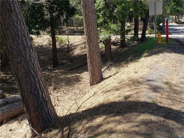 24155 San Moritz, Crestline, CA 92325