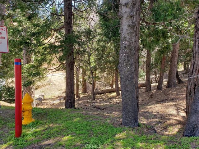 24155 San Moritz, Crestline, CA 92325