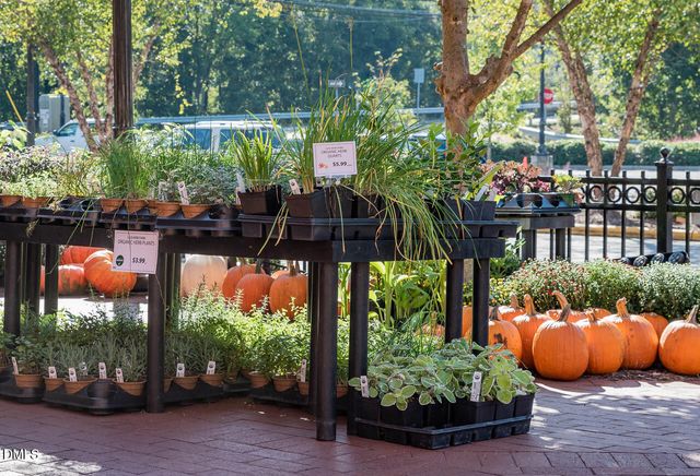 2100 Black Walnut Farm Road, Hillsborough, NC 27278