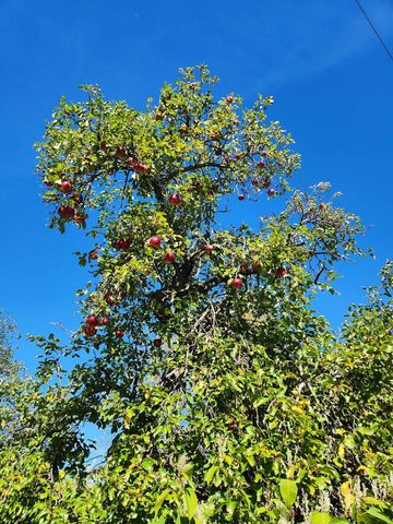 766 Swamp Road, Fairfield, VT 05455