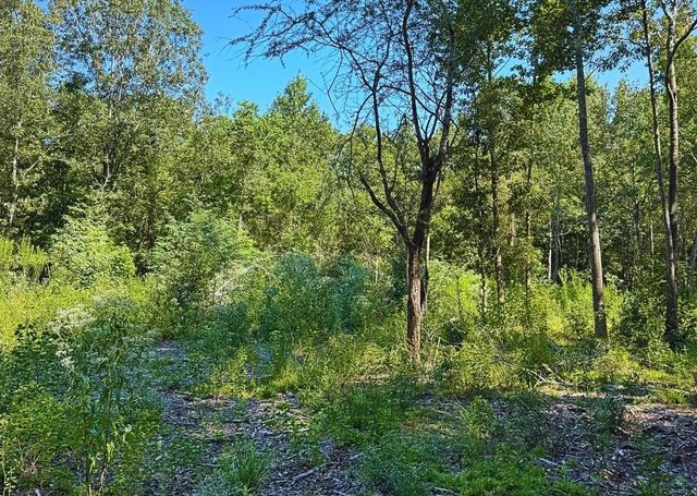 TBD County Road 1331, Liberty, TX 77575