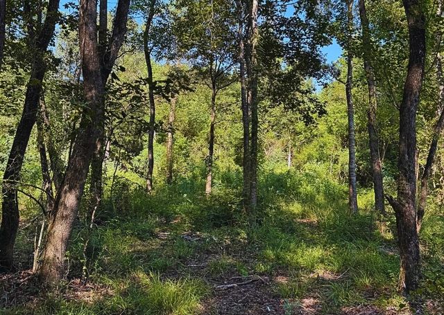 TBD County Road 1331, Liberty, TX 77575