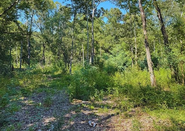 TBD County Road 1331, Liberty, TX 77575