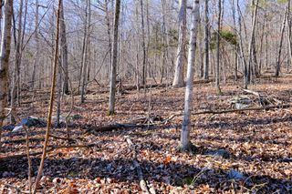 166 Regal Avenue, Somerset, KY 42501