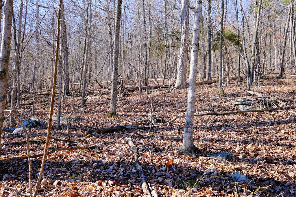 166 Regal Avenue, Somerset, KY 42501