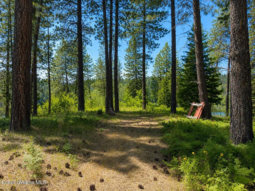 NNA Bonita Bay Ln, Sagle, ID 83860 photo 5