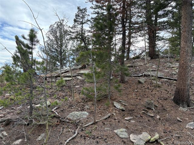 34251 Skyline Drive, Golden, CO 80403