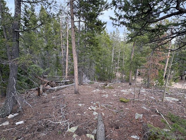 34251 Skyline Drive, Golden, CO 80403