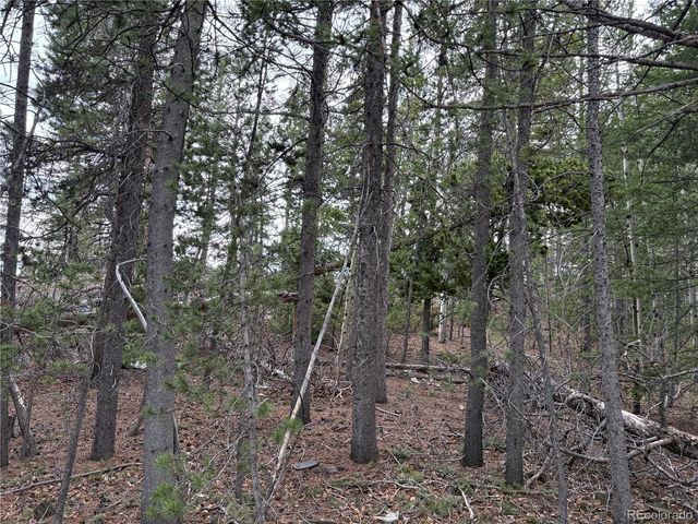 34251 Skyline Drive, Golden, CO 80403