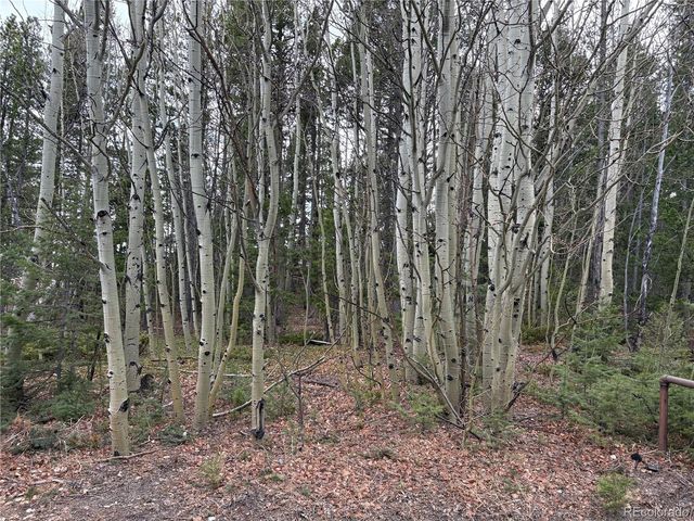 34251 Skyline Drive, Golden, CO 80403