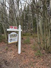 34251 Skyline Drive, Golden, CO 80403