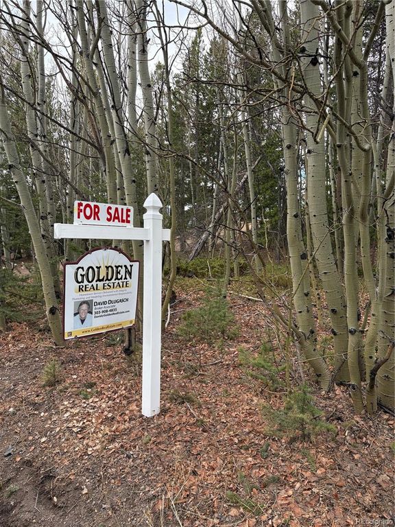 34251 Skyline Drive, Golden, CO 80403