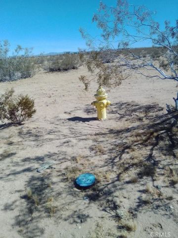 60784 Summers, Landers, CA 92285