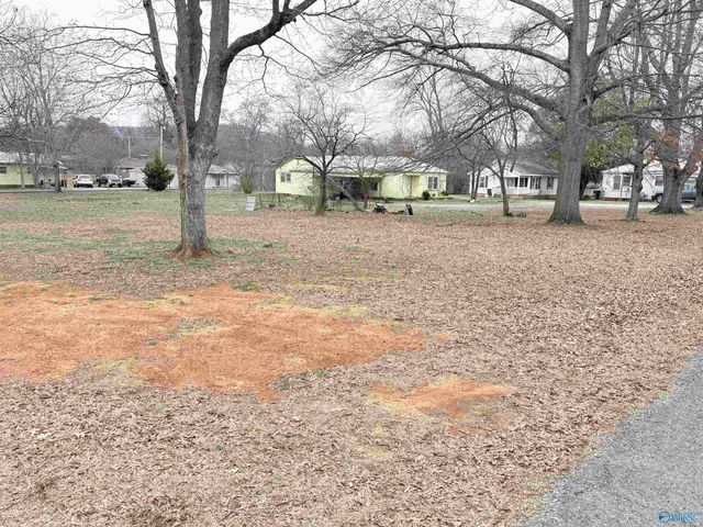 310 Hodges Street, Scottsboro, AL 35768