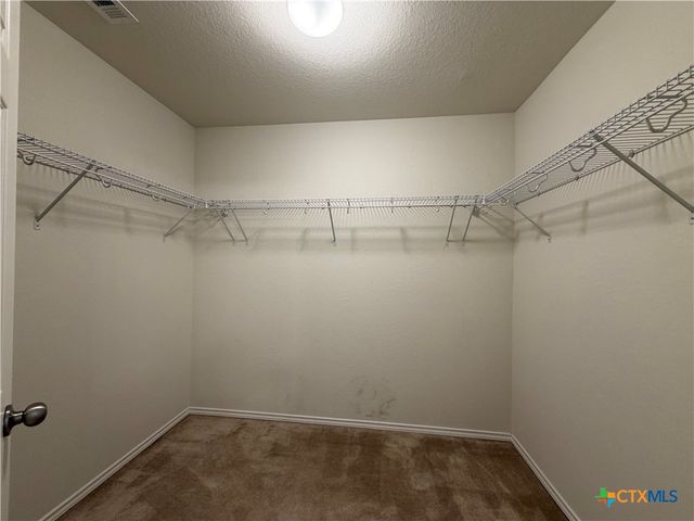 323 Mistflower, New Braunfels, TX 78130