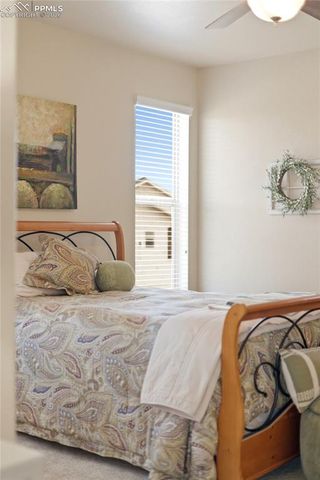 13036 Cupcake Heights, Colorado Springs, CO 80921