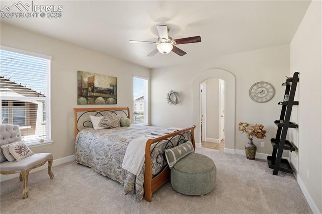 13036 Cupcake Heights, Colorado Springs, CO 80921