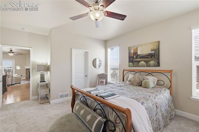 13036 Cupcake Heights, Colorado Springs, CO 80921