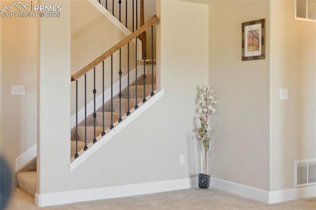 13036 Cupcake Heights, Colorado Springs, CO 80921