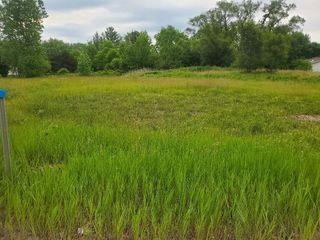 TBD E Pickard Road, Mount Pleasant, MI 48858