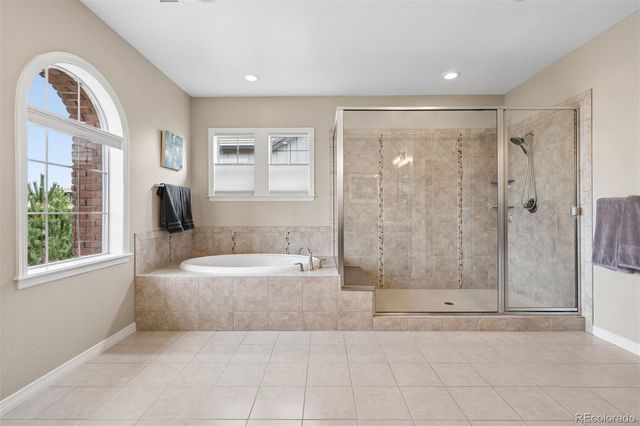 530 Moonmist Court, Highlands Ranch, CO 80126