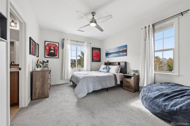 530 Moonmist Court, Highlands Ranch, CO 80126