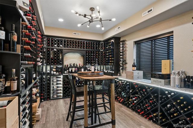 530 Moonmist Court, Highlands Ranch, CO 80126