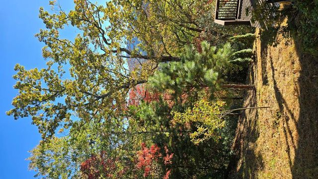 299 Bethabara View, Hayesville, NC 28904