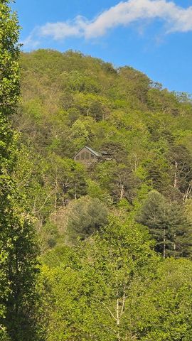 299 Bethabara View, Hayesville, NC 28904