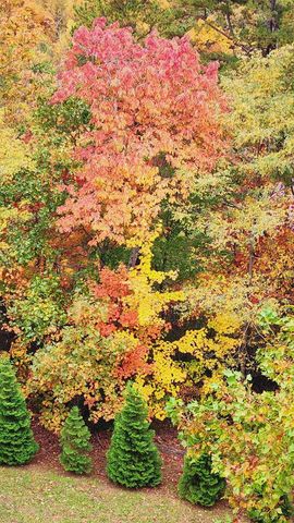 299 Bethabara View, Hayesville, NC 28904