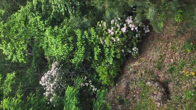 299 Bethabara View, Hayesville, NC 28904
