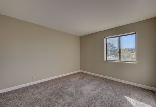 1460 Fairlane Drive 229, Schaumburg, IL 60193