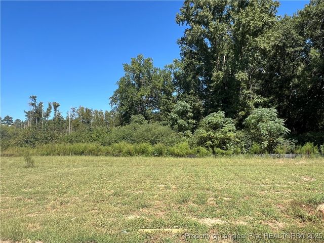 194 Dalton Drive, Lumber Bridge, NC 28357