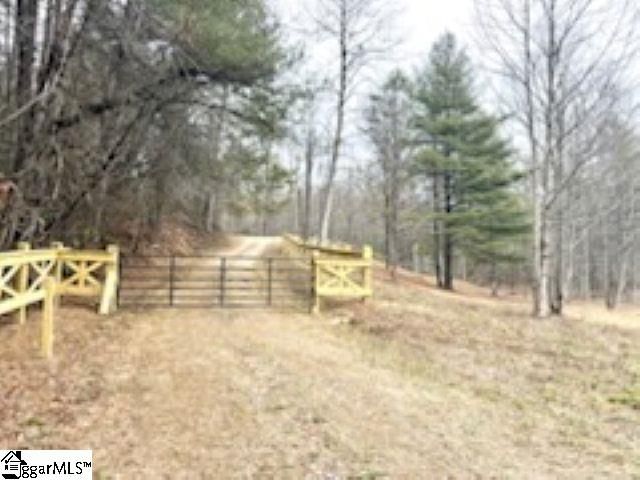 0 Green River Road, Zirconia, NC 28790