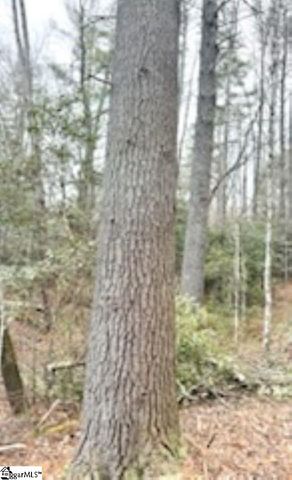 0 Green River Road, Zirconia, NC 28790