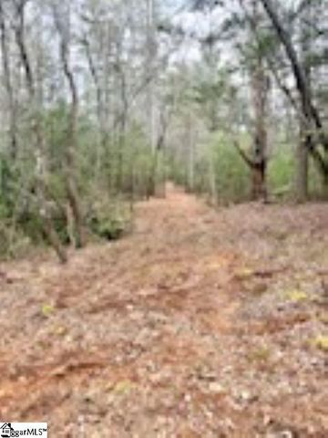 0 Green River Road, Zirconia, NC 28790