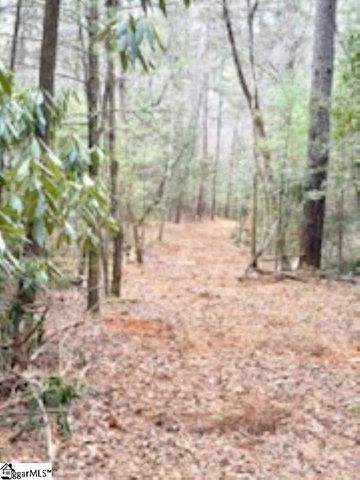 0 Green River Road, Zirconia, NC 28790