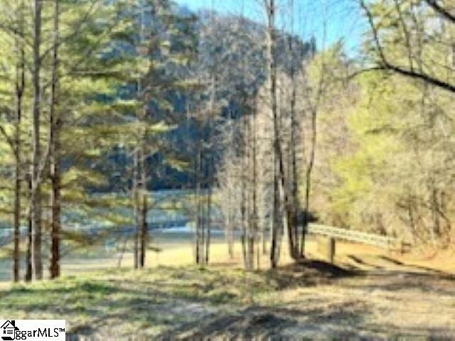 0 Green River Road, Zirconia, NC 28790