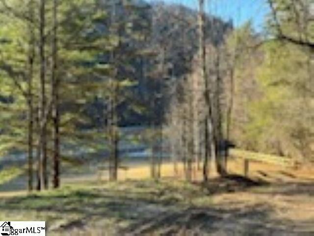 0 Green River Road, Zirconia, NC 28790