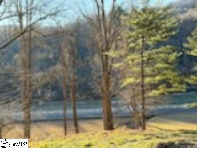 0 Green River Road, Zirconia, NC 28790