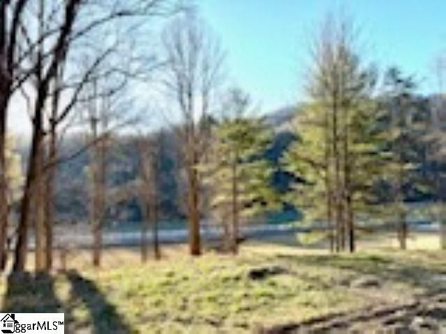 0 Green River Road, Zirconia, NC 28790