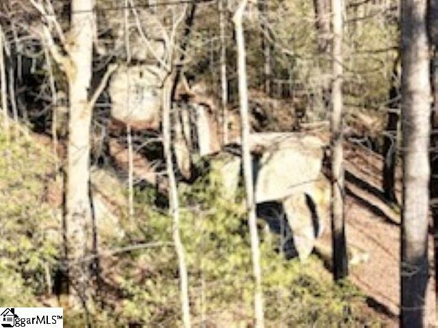 0 Green River Road, Zirconia, NC 28790