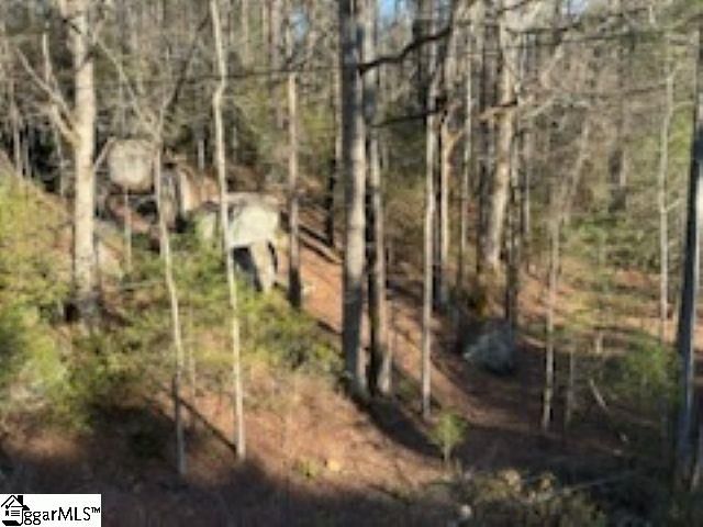 0 Green River Road, Zirconia, NC 28790